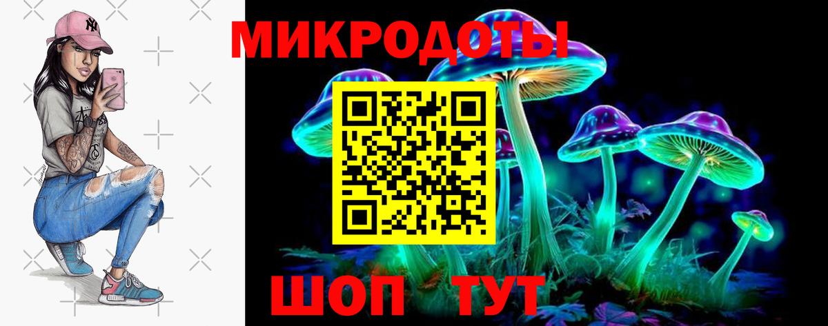 Псилоцибиновые грибы Psilocybe Бахчисарай