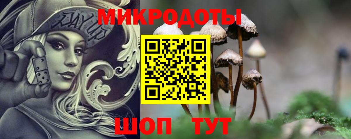 Бахчисарай  Галлюциногенные грибы Psilocybe  где купить наркоту  Вход с VPN 